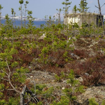 Saelens Vandrarhem I Graesheden Stöten Eksteriør billede
